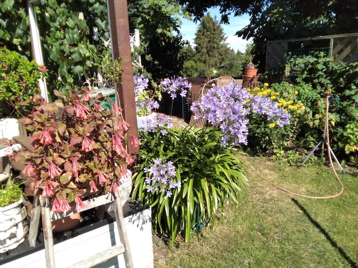 Gartenhaus برلين المظهر الخارجي الصورة